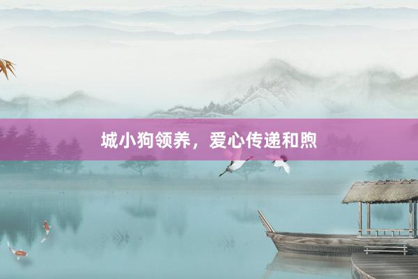 城小狗领养，爱心传递和煦