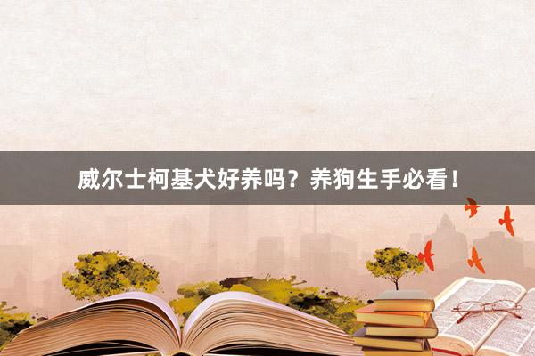 威尔士柯基犬好养吗？养狗生手必看！